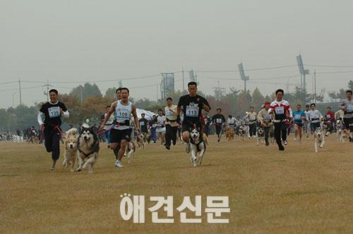 독스포츠 '제10회 한국 캐니크로스 대회' 오는 4월19일 개최