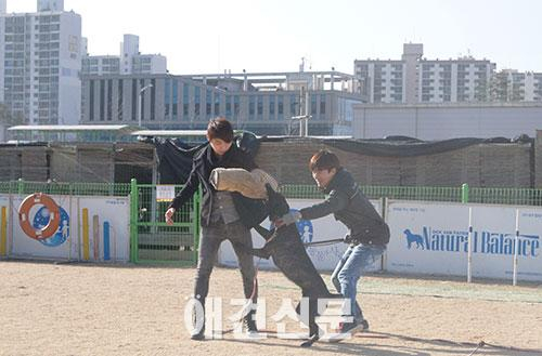 동물과사람, 창립 3주년 기념행사 개최 '반려견 통한 힐링 라이프'