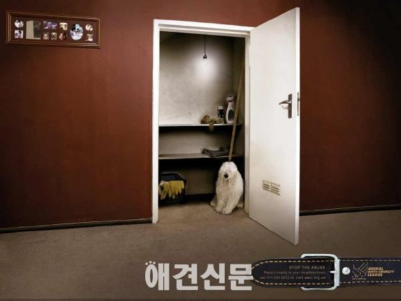 메시지가 강한 동물학대 광고, 네티즌 사이에 눈길