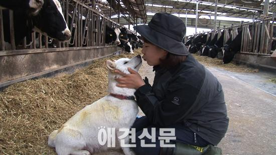 설기획 연작 다큐 '단짝', 인간과 반려동물의 진솔한 교감 다뤄