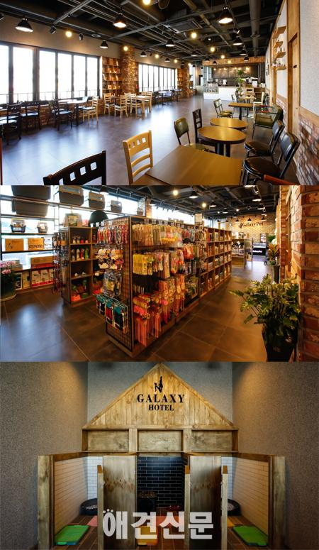 [탐방] 프리미엄 멀티펫타운 '갤럭시펫'