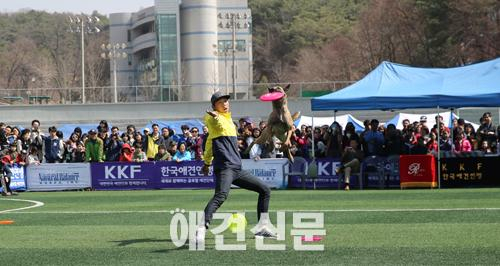 '제1회 강원 펫 페스티벌' 성료