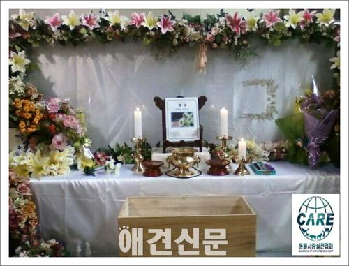 이별통보 받고 여친 개 살해, 경찰은 수사 의지 없어 보여