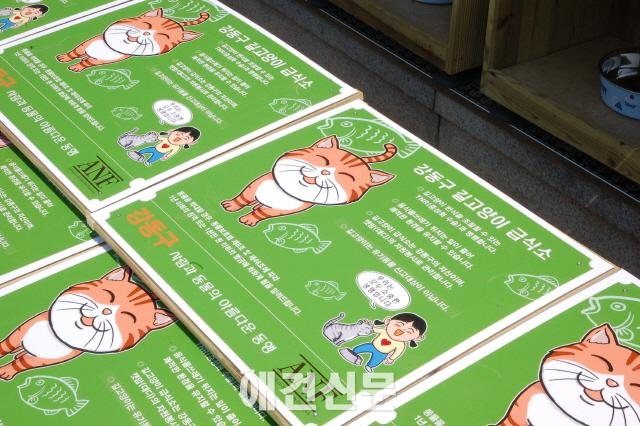 강동구 길고양이, 새 급식소에서 밥 먹다