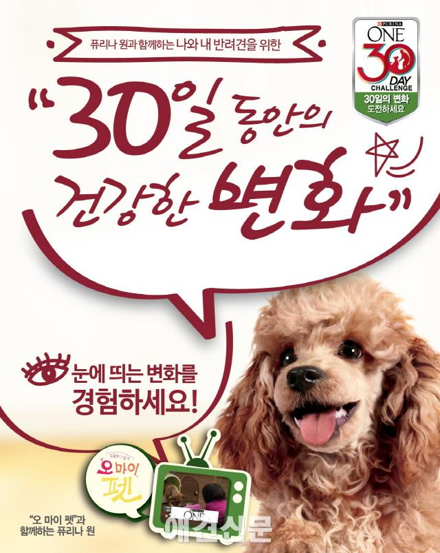 네슬레 퓨리나, '제6회 퓨리나 원 30일 체험단' 1천 명 모집!