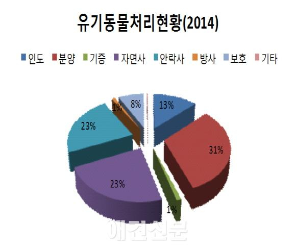 작년 한 해 유기동물 8만1천 마리 발생, 2010년 이후 감소 추세