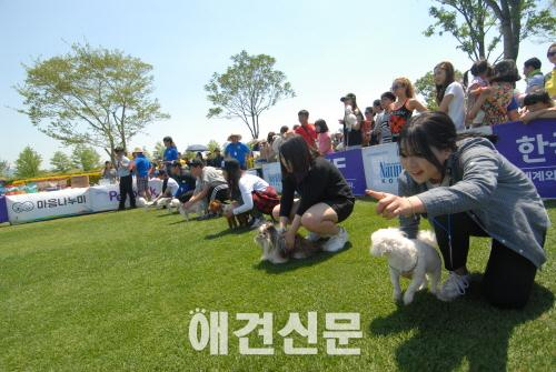 한눈에 보는 '제3회 순천만세계동물영화제'  축제의 현장