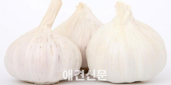 개와 고양이가 먹으면 안 되는 '뜻밖의' 음식 7가지