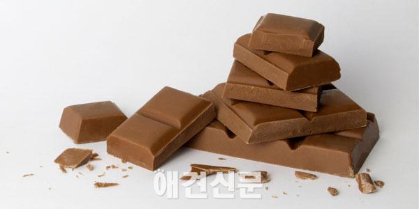 개와 고양이가 먹으면 안 되는 '뜻밖의' 음식 7가지