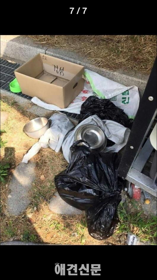 마포구 임시 유기동물보호시설, 비위생적인 시설과 관리소홀로 논란.