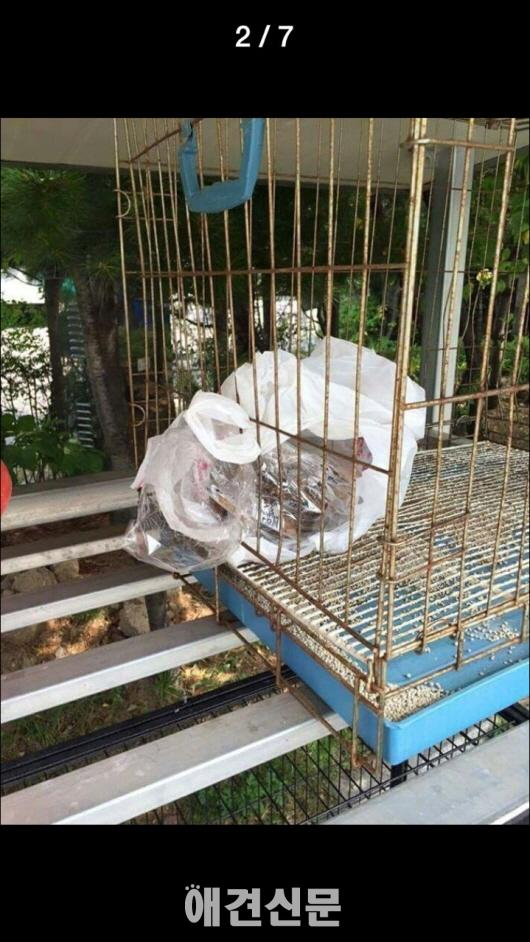 마포구 임시 유기동물보호시설, 비위생적인 시설과 관리소홀로 논란.