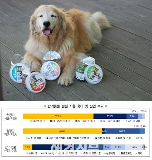경기연구원, 반려동물 현황 발표 반려동물 위해 월평균 10만원 지출