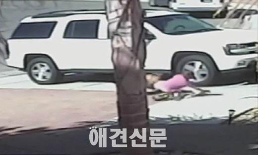 히어로 독(dog)에 뽑힌 '고양이' 타라, '온 몸으로 주인 지켜낸 영웅'