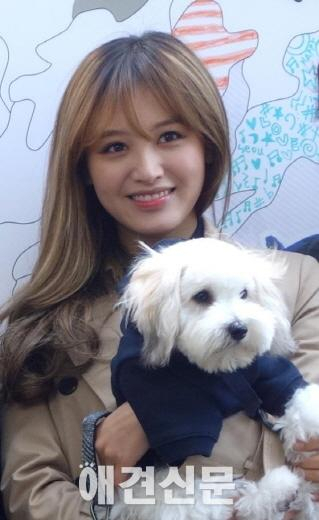 김재경, '고결한 그대'서 수의사 변신 '애견 마카롱도 동반 출연'