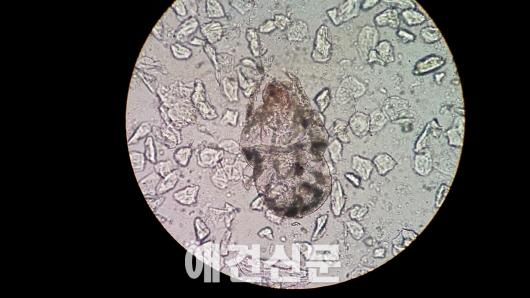 다이슨, 초미세먼지(PM2.5) 제거하는 토탈 홈 솔루션 공개