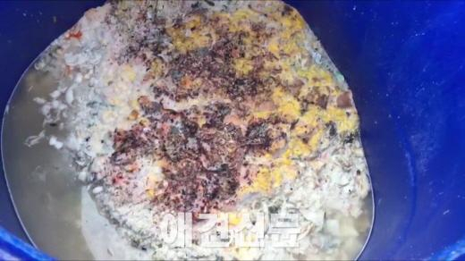 개 먹이로 개를 먹이는 개식용 농장  인간의 잔인함, 그 끝은 어디인가?