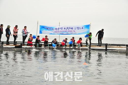 자연으로 돌아간 태산이와 복순이, "이제 바다에서 행복하렴"