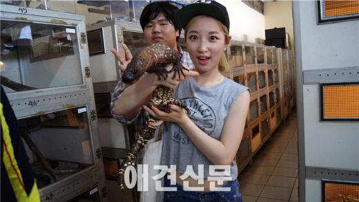 [탐방] 인도네시아, 세계 다양한 아종들을 찾아서