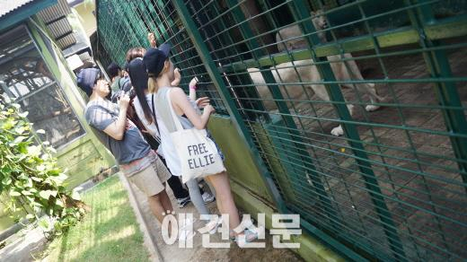 [탐방] 인도네시아, 세계 다양한 아종들을 찾아서