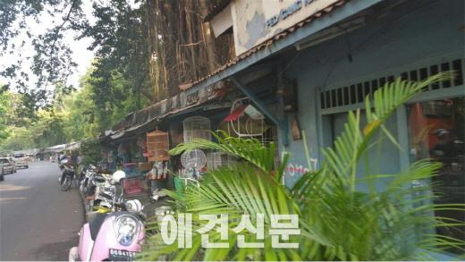 [탐방] 인도네시아, 세계 다양한 아종들을 찾아서