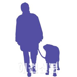 [고영리 작가의 Pet Story] 나이듦이 흐르다_늙어가는 개와 함께 하는 시간