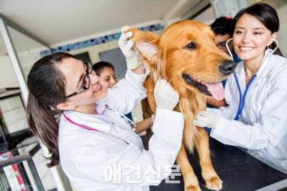 한국동물병원협회, '동물 의료기 최적 구매 지원 나선다"