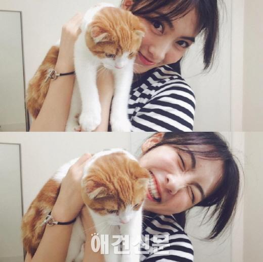 무더위 속에서도 스타들은 '애견사랑중'