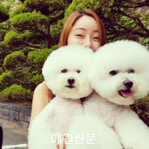 무더위 속에서도 스타들은 '애견사랑중'