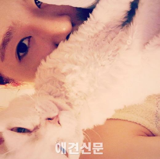 무더위 속에서도 스타들은 '애견사랑중'