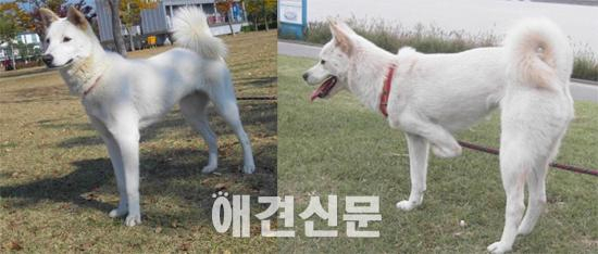 [인터뷰] '팅커벨 프로젝트' 황동열 대표, 티어하임, 누군가는 시작해야할 일