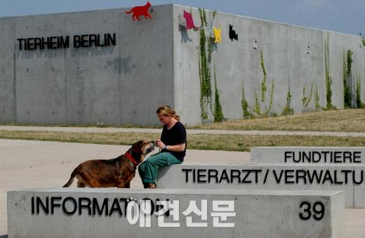 [인터뷰] '팅커벨 프로젝트' 황동열 대표, 티어하임, 누군가는 시작해야할 일