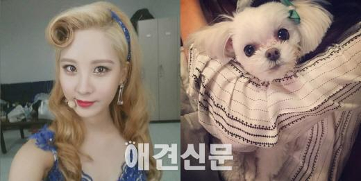 소녀시대, 한 눈 파는 라이온보단 사랑스런 반려견