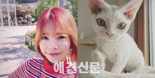 소녀시대, 한 눈 파는 라이온보단 사랑스런 반려견