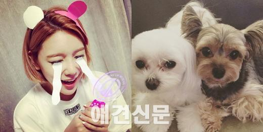 소녀시대, 한 눈 파는 라이온보단 사랑스런 반려견