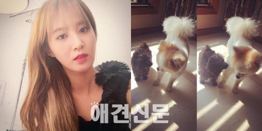 소녀시대, 한 눈 파는 라이온보단 사랑스런 반려견