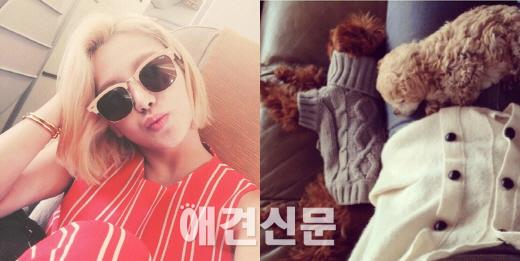 소녀시대, 한 눈 파는 라이온보단 사랑스런 반려견