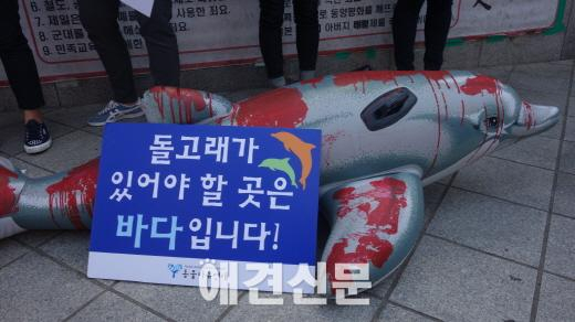 동물보호단체들, 일본은 다이지 돌고래 학살을 중단하라