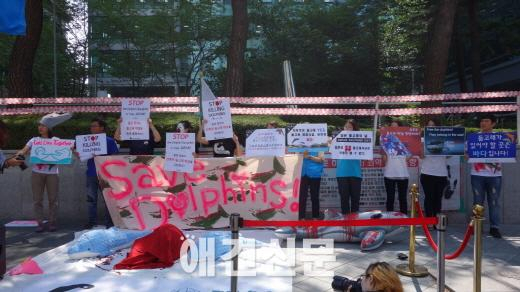 동물보호단체들, 일본은 다이지 돌고래 학살을 중단하라