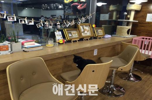 [탐방]서울 리버티벨, 그곳에는 뭔가 특별한 것이 있다.