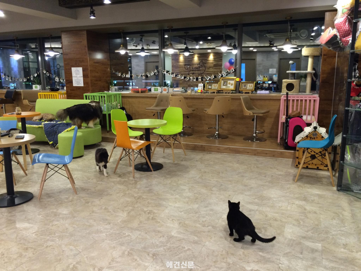 [탐방]서울 리버티벨, 그곳에는 뭔가 특별한 것이 있다.