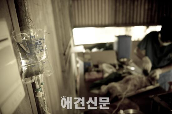 김삼열 작가의 포토에세이 #2  '천사의 손길'