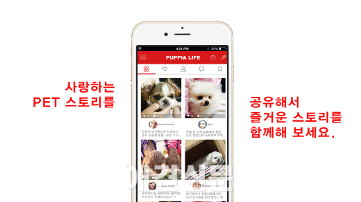 애견패션 의류와 최신 IT기술을 결합한 퍼피아