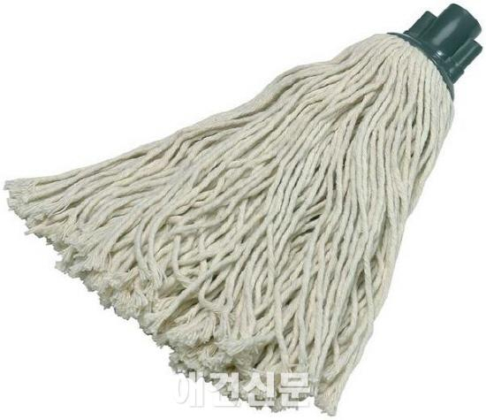 페이스북CEO 마크 주커버그와 책 읽는 대걸레 강아지 무슨 품종?