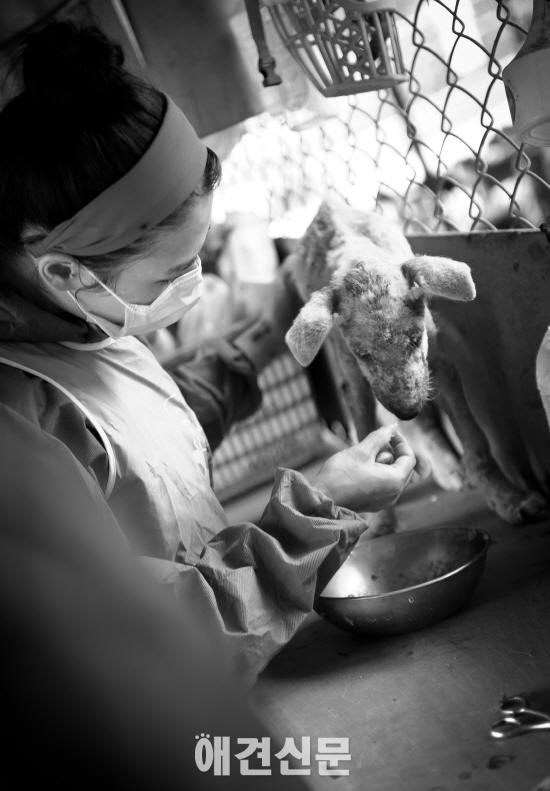 김삼열 작가의 포토에세이 #3  '망울이'