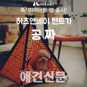 반려동물 온라인쇼핑몰 이리온몰, 모바일앱 출시