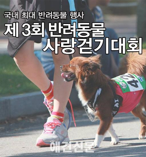 '반려동물 사랑 걷기대회' 내년 4월로 일정 연기