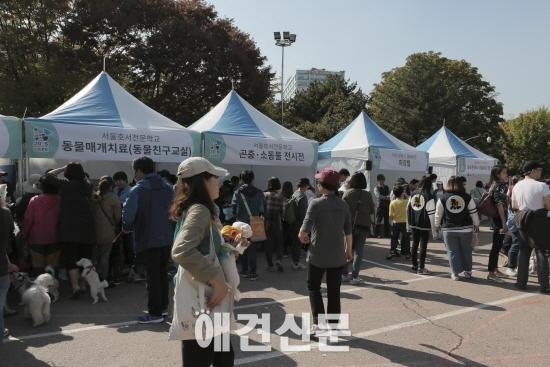 펫슬랩, '2015 행복한 양천, 반려견 문화 축제' 성황리 개최