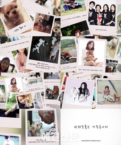 이승환, 반려동물 가족사진으로 만든 '지구와 달과 나' MV공개