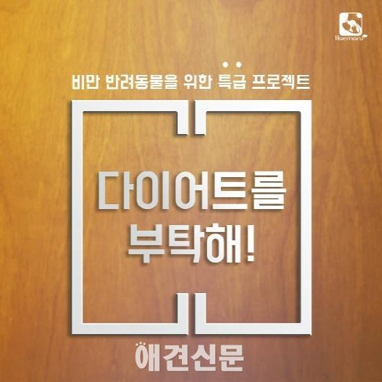 해마루 케어센터, "다이어트를 부탁해" 이벤트 진행