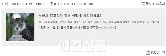 '서울시 길고양이 정책' 관련 엠보팅 종료, "서울시민 의견은?"